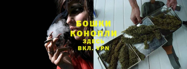 стаф Горняк