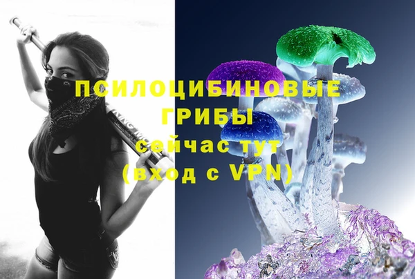 стаф Горняк