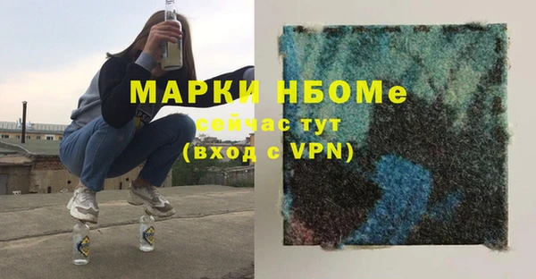 стаф Горняк