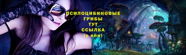 гидропоника Горно-Алтайск