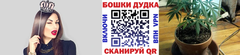 Бошки Шишки Bruce Banner Армавир
